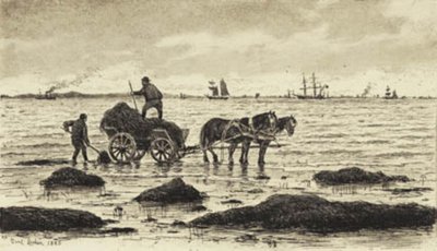 Campesinos recogiendo algas de Carl Locher