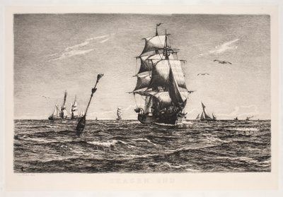 Skagen de Carl Locher