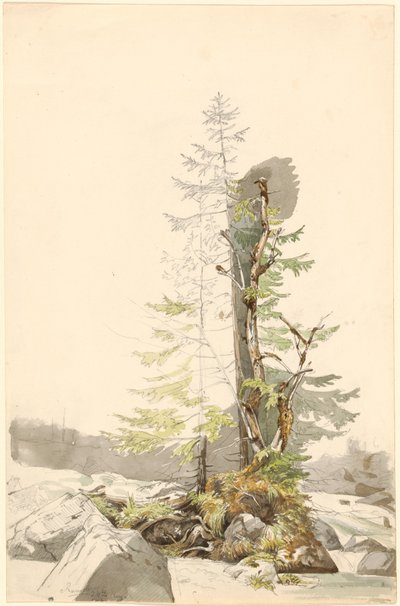 Un grupo de árboles junto a un arroyo rocoso en Ramsau de Carl Morgenstern