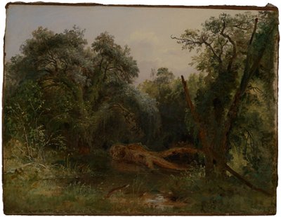  de Carl Morgenstern