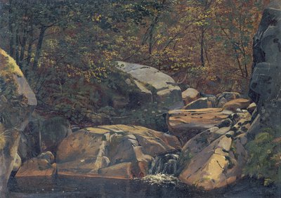 Arroyo del bosque (Cascada entre rocas) de Carl Morgenstern