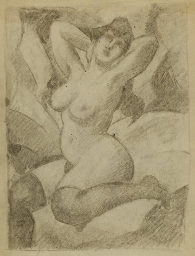 Desnudo femenino con medias negras de Carl Newman