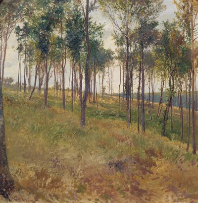 Motivo del bosque cerca de Kritzendorf de Carl Raimund Lorenz