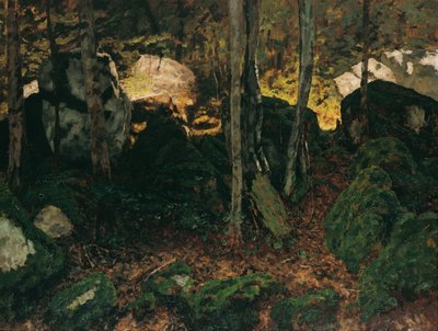 Waldinneres cerca de Saut du Doubs de Carl Schuch