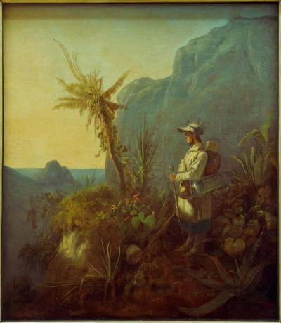 El naturalista en los trópicos de Carl Spitzweg