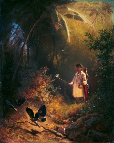 El cazador de mariposas de Carl Spitzweg