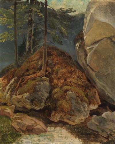 Estudio al óleo con roca cubierta de musgo de Carl Spitzweg