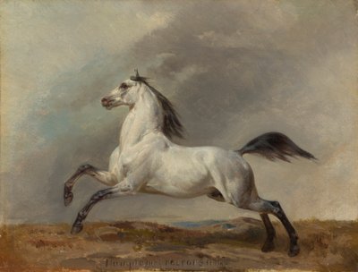 Semental gris a la izquierda de Carl Steffeck