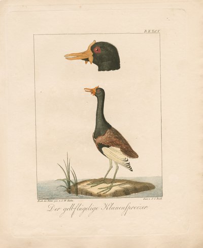  de Carl Wilhelm Hahn