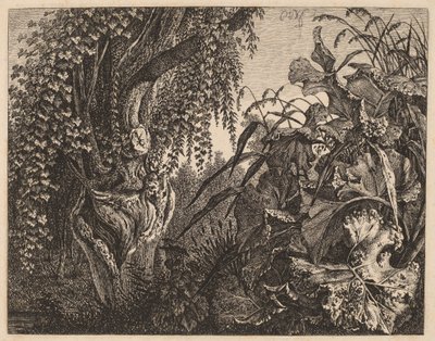 Un matorral; un sauce nudoso a la izquierda, un matorral de vegetación a la derecha de Carl Wilhelm Kolbe