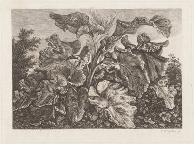 Estudio de planta con bardana de Carl Wilhelm Kolbe