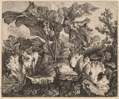 Pequeño estudio de planta: un bardana, delicados mechones de hierba a la izquierda de Carl Wilhelm Kolbe