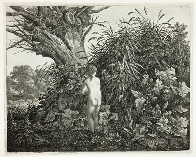 Ninfa en un bosque pantanoso de Carl Wilhelm Kolbe, the elder