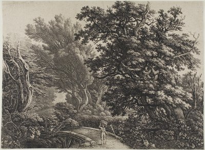 Puente rústico en un bosque enmarañado de Carl Wilhelm Kolbe, the elder