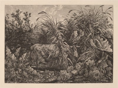 La vaca en el pantano de Carl Wilhelm Kolbe, the elder