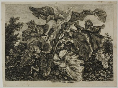 Hoja de vegetales de Carl Wilhelm Kolbe, the elder