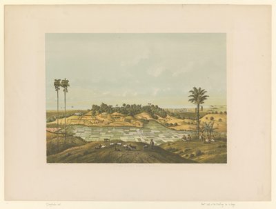 Vista de un paisaje cerca de Samarang
Costa norte cerca de Samarang (título en el objeto) de Carl Wilhelm Mieling (possibly)