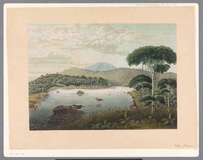 Vista del lago Patenggang en Java de Carl Wilhelm Mieling (possibly)