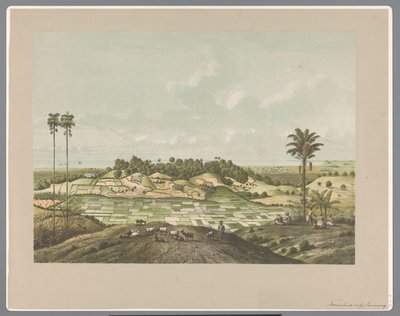 Costa norte cerca de Semarang de Carl Wilhelm Mieling (possibly)