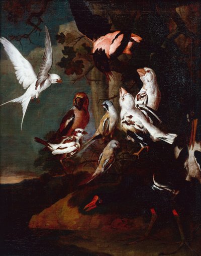 Una gallineta, golondrina, pinzones y otros pájaros en un paisaje fluvial boscoso de Carl Wilhelm de Hamilton