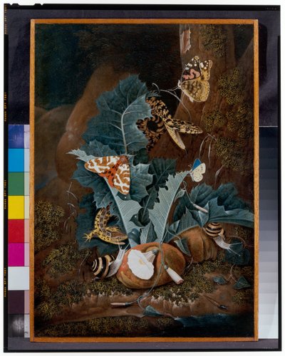 Bodegón en el bosque con caracoles, serpientes, lagartos y mariposas de Carl Wilhelm de Hamilton