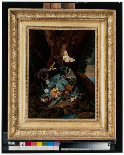 Bodegones en el bosque con caracoles, serpientes, lagartos y mariposas de Carl Wilhelm de Hamilton