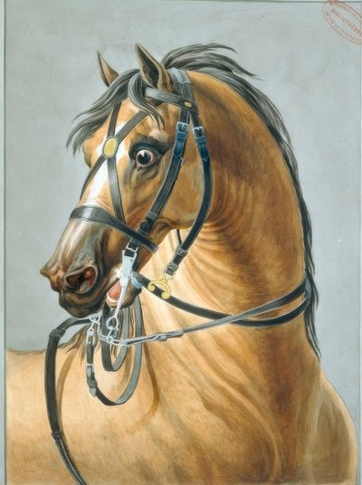 Brida para los caballos de artillería de Carle Vernet