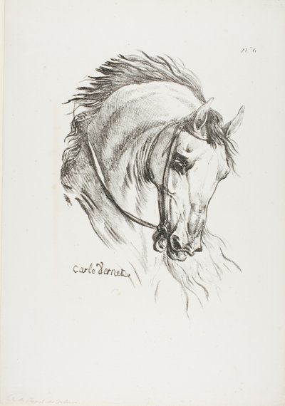 Detalle de la cabeza de un caballo, ampliada al triple, Hussard, Guardia Real, nº 6 de Carle Vernet