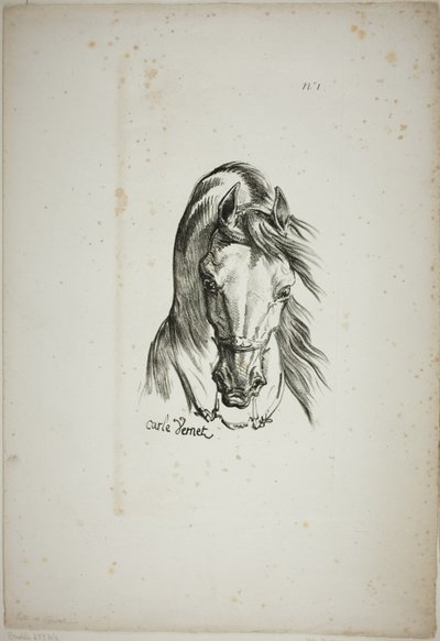 Detalle de la cabeza de caballo, ampliada al triple, Guardia Real Normanda, nº 1 de Carle Vernet