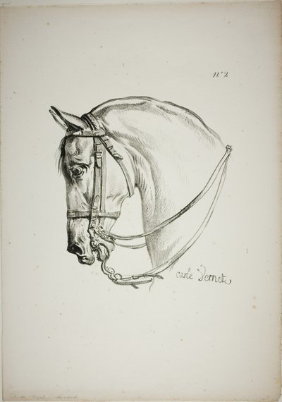 Detalle de la cabeza de caballo, ampliada al triple, Guardia Real Normanda, nº 2 de Carle Vernet