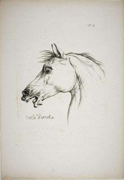 Detalle de la cabeza de caballo, ampliada al triple, Guardia Real Normanda, nº 4 de Carle Vernet