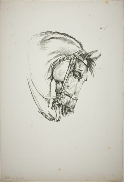 Detalle de la cabeza de caballo, ampliada al triple, Guardia Real Normanda, nº 5, Primer Caballo de Limoges de Carle Vernet
