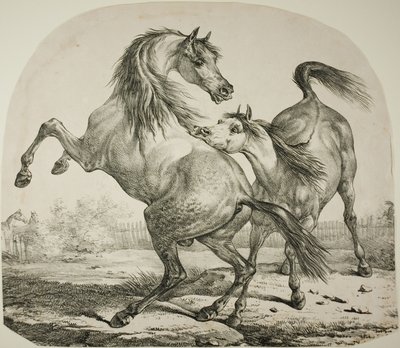 Caballos salvajes luchando de Carle Vernet