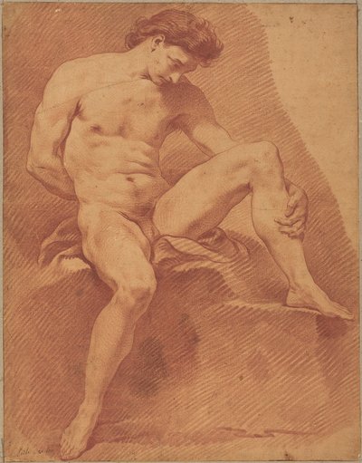 Un desnudo masculino sentado de Carle van Loo