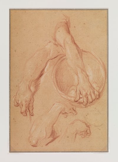 Estudios de un brazo de Carle van Loo