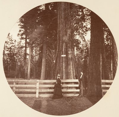 Auld Reckie de Carleton Emmons Watkins