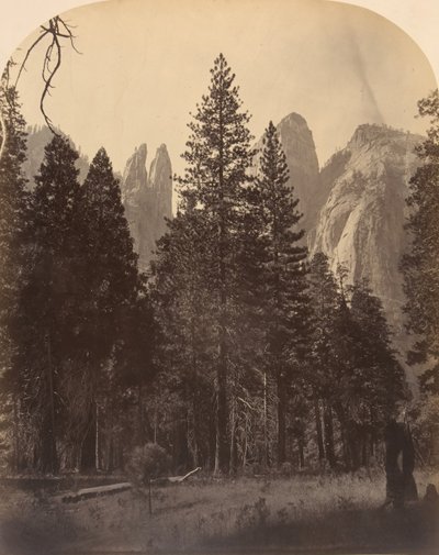 Torres de la catedral, 1861 de Carleton Emmons Watkins