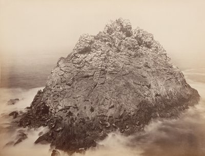 Islas Sugar Loaf, Farallons, 1868-69 de Carleton Emmons Watkins