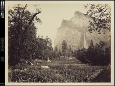 El velo nupcial, 900 pies. Yosemite, c.1865 de Carleton E. Watkins