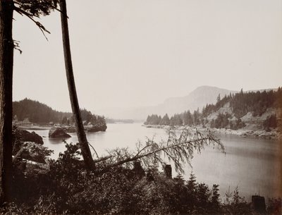 Vista en el Columbia, Cascadas, 1867 de Carleton Emmons Watkins