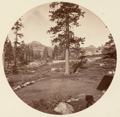[Parque Nacional Yosemite, California], ca. 1878 de Carleton Emmons Watkins