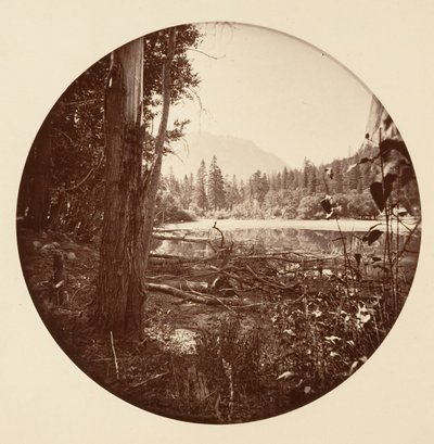 [Parque Nacional Yosemite, California], ca. 1878 de Carleton Emmons Watkins