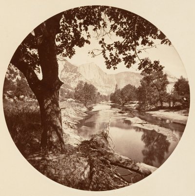 [Parque Nacional Yosemite, California] de Carleton Emmons Watkins