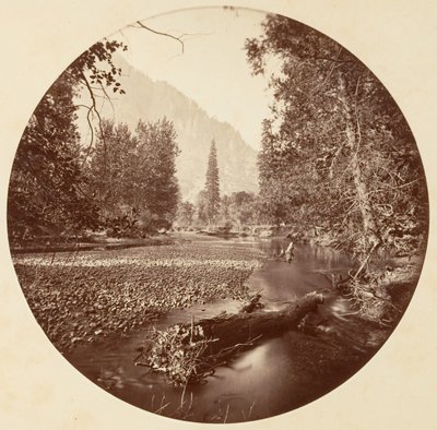 Parque Nacional de Yosemite, California, ca. 1878 de Carleton Emmons Watkins