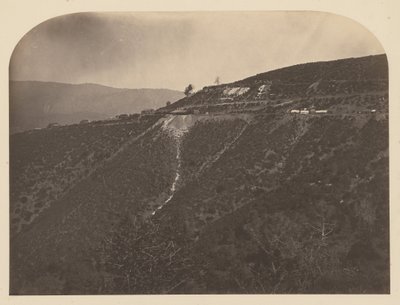 (Mina del Pino) de Carleton Watkins