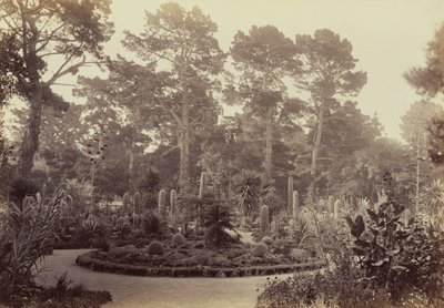  de Carleton Watkins