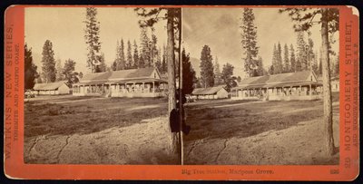 Estación del Gran Árbol, Mariposa Grove de Carleton Watkins