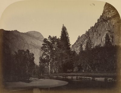 Camp Grove - Yo Semite de Carleton Watkins
