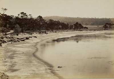 [Vista de la costa cerca de Monterey] de Carleton Watkins