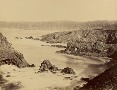 [Vista de la costa de Mendocino] de Carleton Watkins